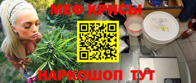 кокс Кингисепп