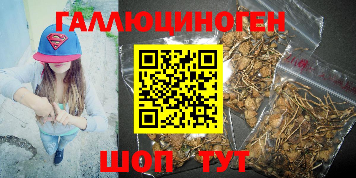 Псилоцибиновые грибы мухоморы  Южноуральск 