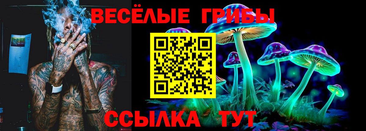 Псилоцибиновые грибы Psilocybine cubensis Южноуральск