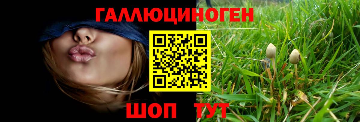 Южноуральск  Псилоцибиновые грибы Psilocybine cubensis  закладки  Вход с VPN  Псилоцибиновые грибы Psilocybine cubensis 